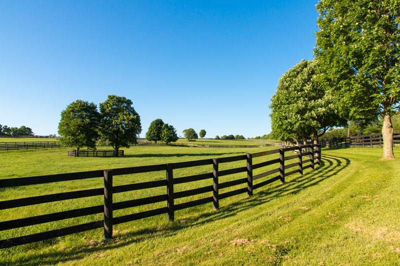 Ride on Mowers vs. Tow-Behind Mowers