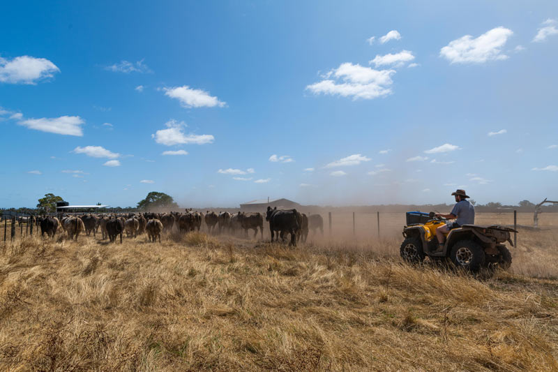 Confidence Returns to Tasmania’s Farmers