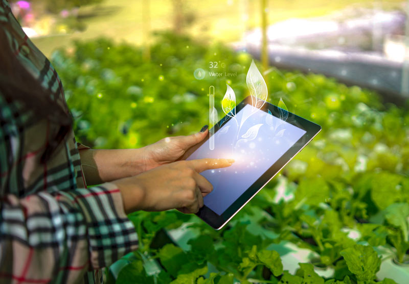 How is technology in farming making the industry grow?