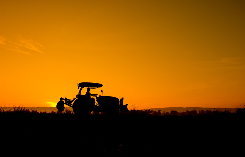The Importance of Quality-Assured Native Seed for Australian Farmers