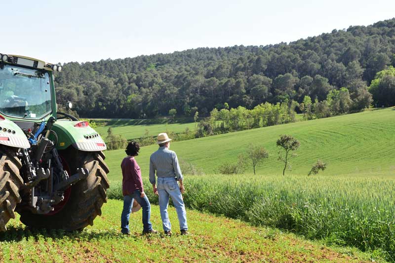 Legalisation of Virtual Fencing in NSW